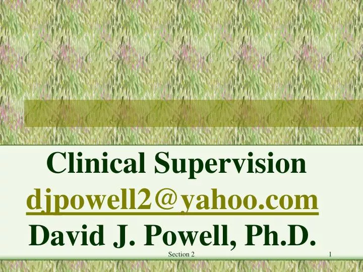 clinical supervision djpowell2@yahoo com david j powell ph d