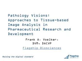Pathology Visions: Approaches to Tissue-based Image Analysis in Pharmaceutical Research and Development
