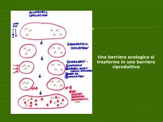 Una barriera ecologica si trasforma in una barriera riproduttiva