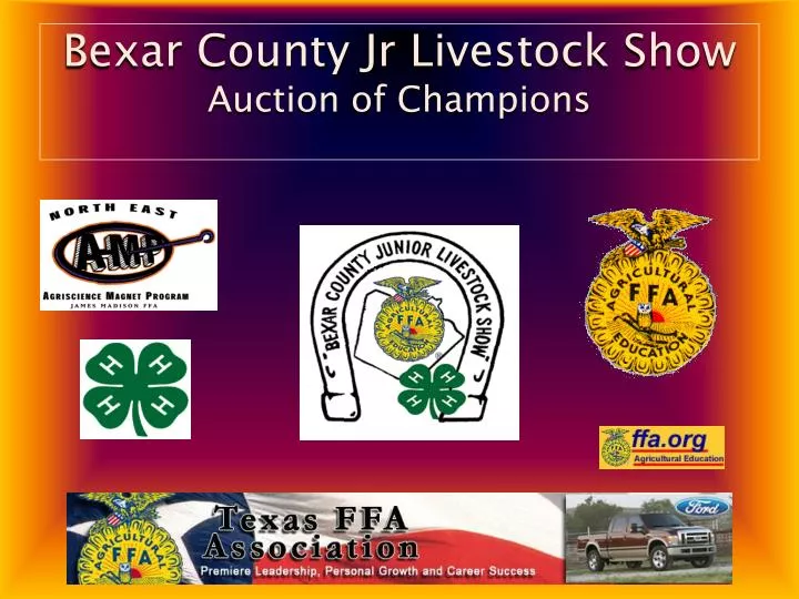 bexar county jr livestock show auction of champions