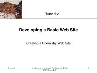 Developing a Basic Web Site