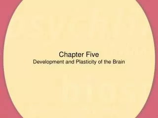 Chapter Five Development and Plasticity of the Brain