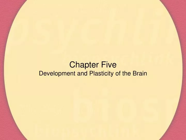 chapter five development and plasticity of the brain