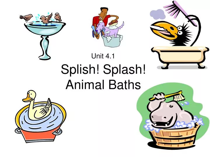 unit 4 1 splish splash animal baths