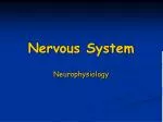 Nervous System - slide 1