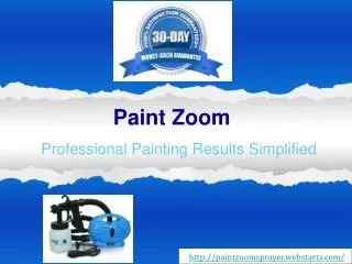 Buy the Paint Zoom and Achieve Professional Painting Results