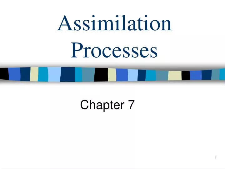 assimilation processes