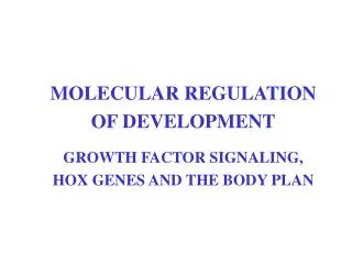 MOLECULAR REGULATION OF DEVELOPMENT GROWTH FACTOR SIGNALING, HOX GENES AND THE BODY PLAN