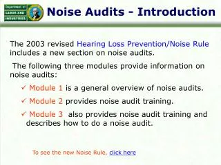 Noise Audits - Introduction