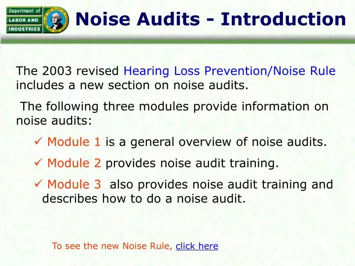 noise audits introduction