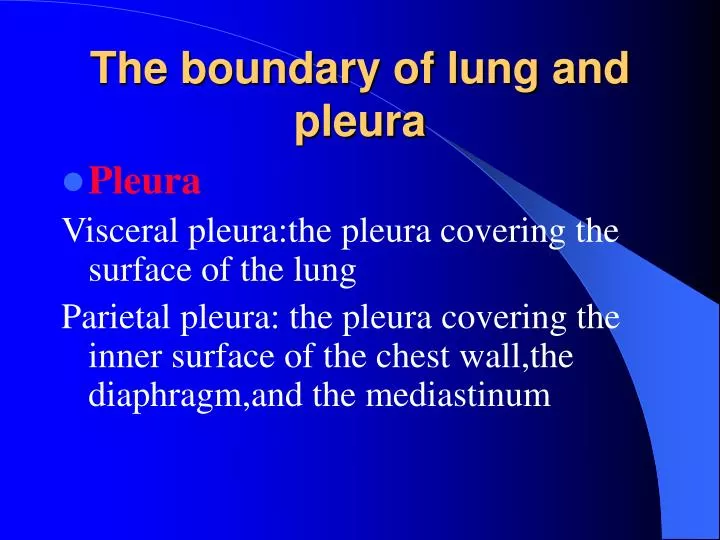 the boundary of lung and pleura