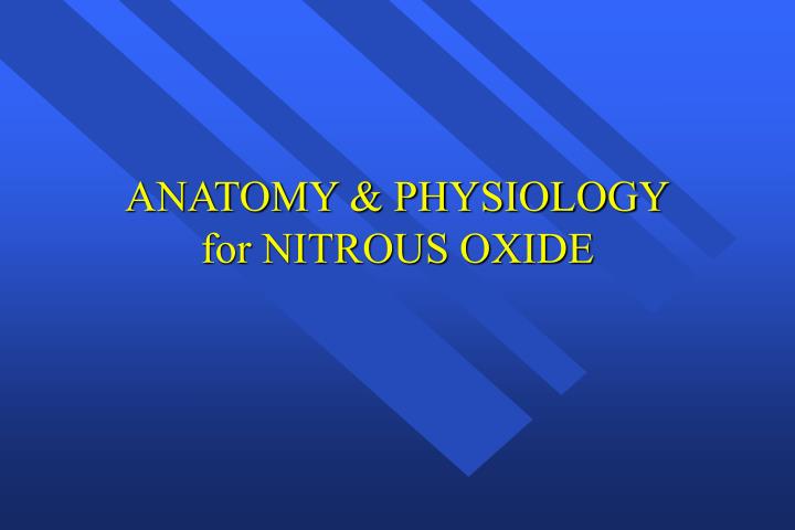 anatomy physiology for nitrous oxide