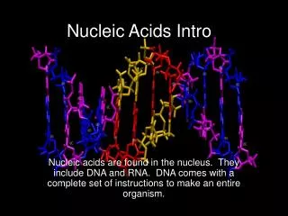 Nucleic Acids Intro