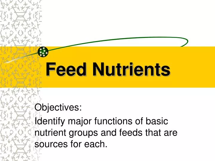 feed nutrients