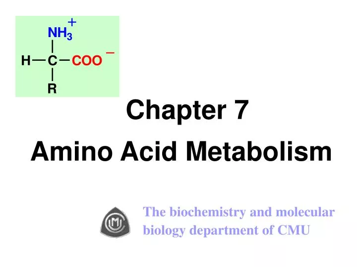 chapter 7 amino acid metabolism