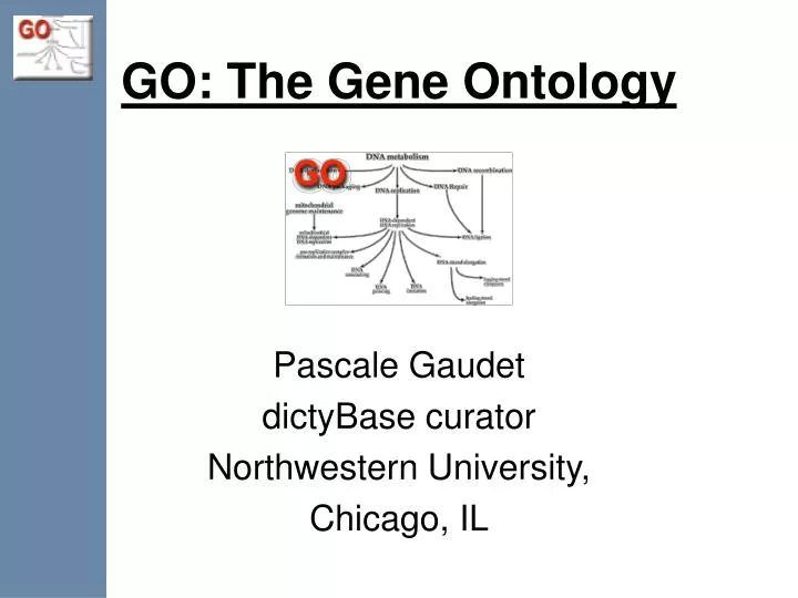 go the gene ontology