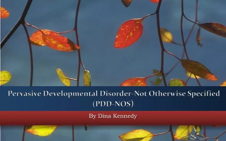 pervasive developmental disorder not otherwise specified pdd nos