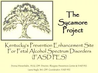 The Sycamore Project