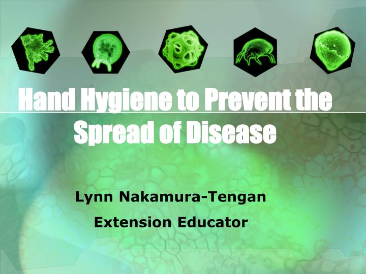 hand hygiene to prevent the spread of disease