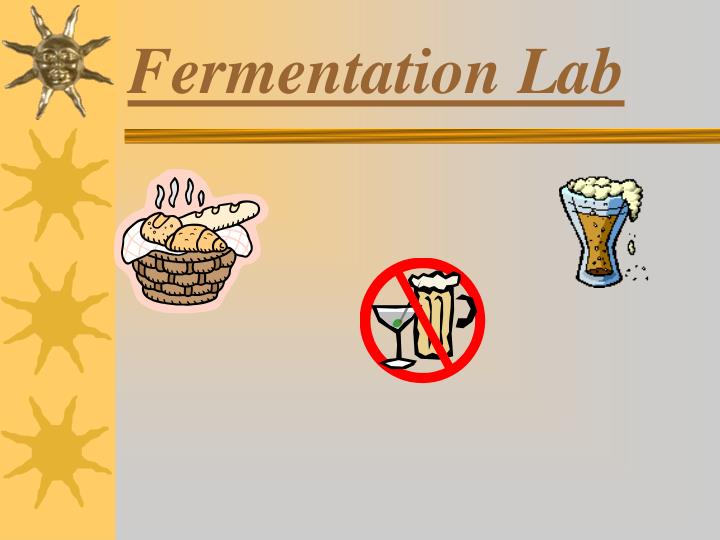 fermentation lab