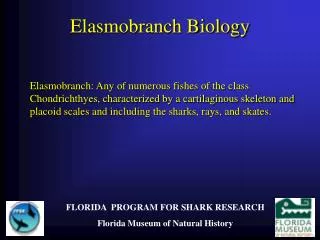 Elasmobranch Biology
