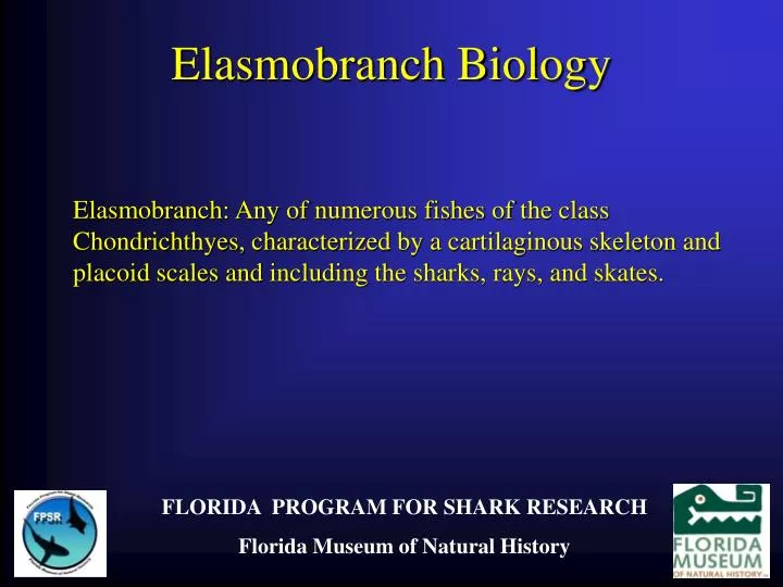 elasmobranch biology