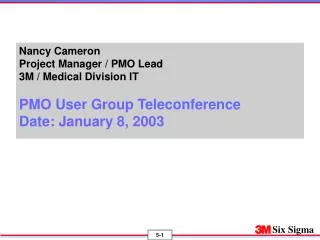 Nancy Cameron Project Manager / PMO Lead 3M / Medical Division IT PMO User Group Teleconference Date: January 8, 2003