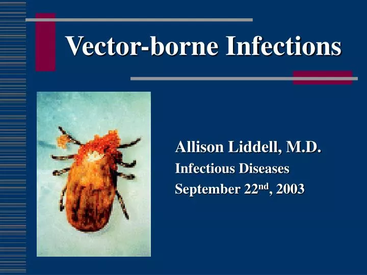 vector borne infections