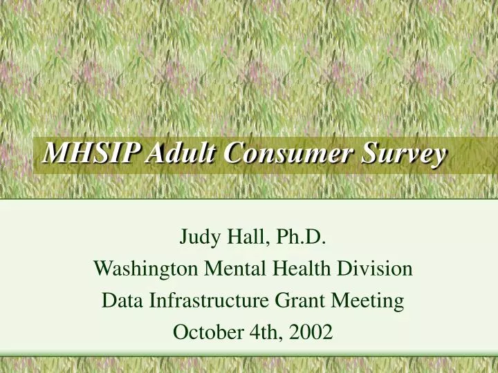 mhsip adult consumer survey