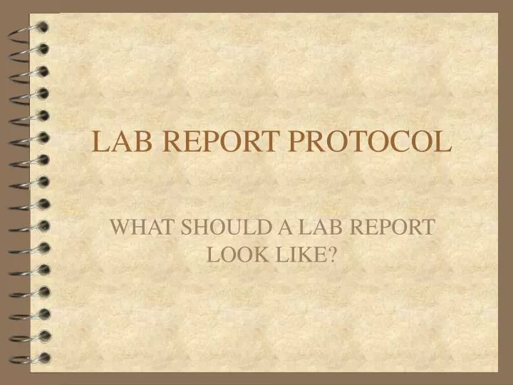 lab report protocol