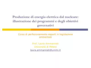 Produzione di energia elettrica dal nucleare: illustrazione dei programmi e degli obiettivi governativi