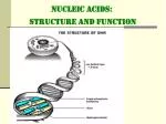 NUCLEIC ACIDS: STRUCTURE and FUNCTION - slide 1