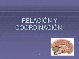 RELACIÓN Y COORDINACIÓN.