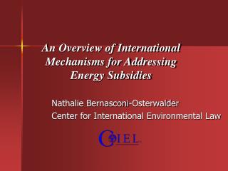 An Overview of International Mechanisms for Addressing Energy Subsidies