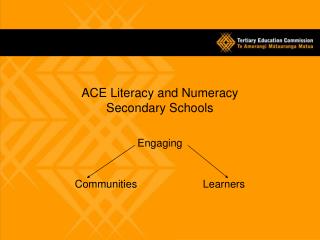 ACE Literacy and Numeracy Secondary Schools