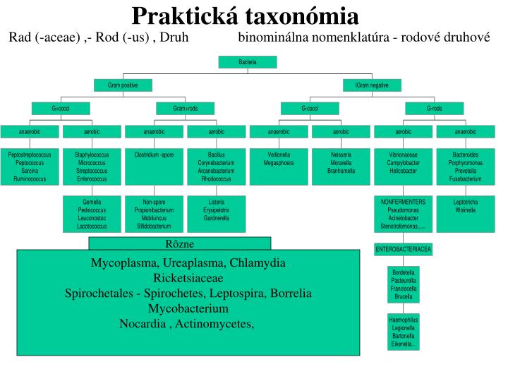 praktick taxon mia