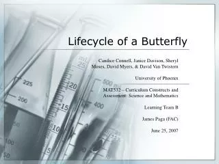 Lifecycle of a Butterfly