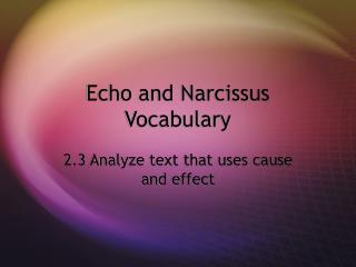 Echo and Narcissus Vocabulary