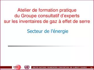 Atelier de formation pratique du Groupe consultatif d’experts sur les inventaires de gaz à effet de serre Secteur de l