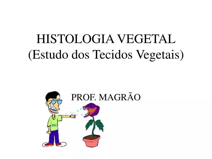 histologia vegetal estudo dos tecidos vegetais