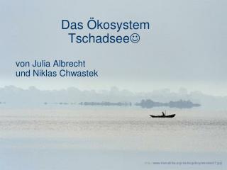 Das Ökosystem	 				 Tschadsee  von Julia Albrecht und Niklas Chwastek