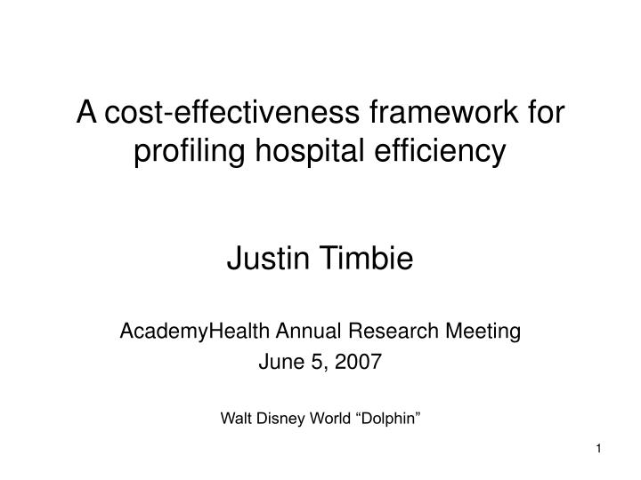 a cost effectiveness framework for profiling hospital efficiency