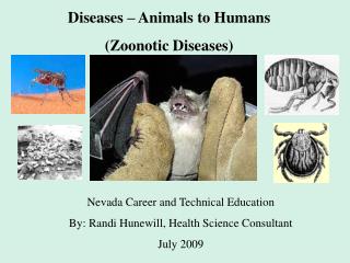 Diseases – Animals to Humans (Zoonotic Diseases)