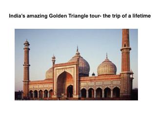 India’s amazing Golden Triangle tour- the trip of a lifetime