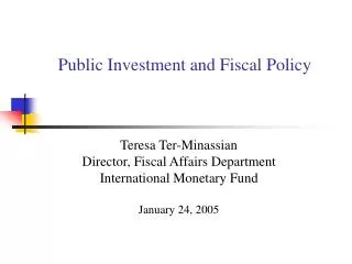 Public Investment and Fiscal Policy