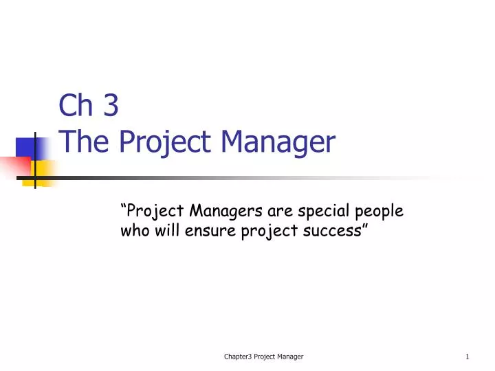 ch 3 the project manager