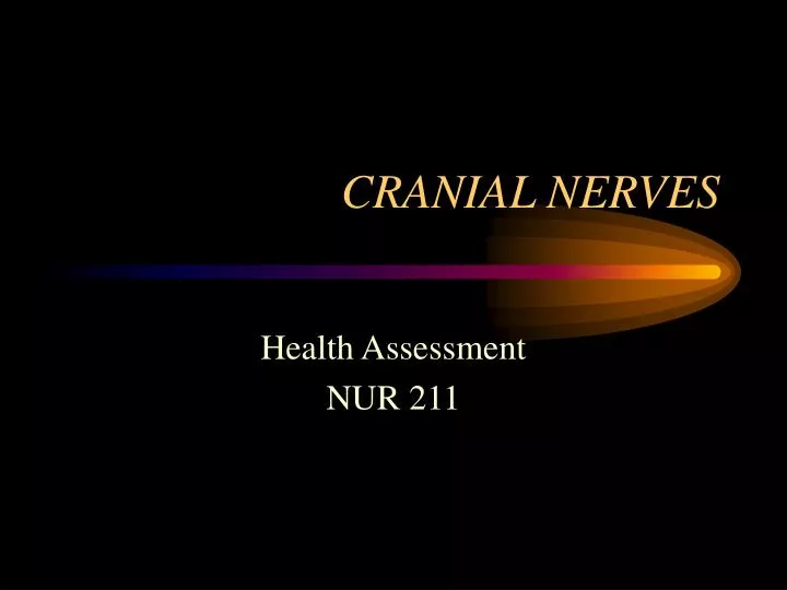 cranial nerves