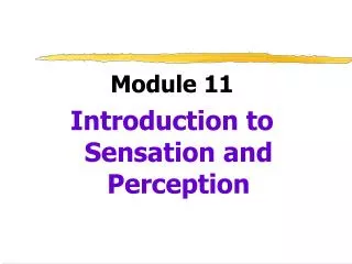 Module 11 Introduction to Sensation and Perception
