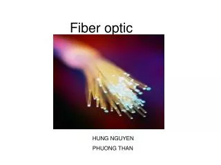 Fiber optic