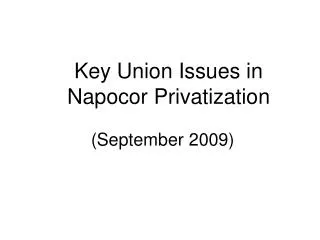 Key Union Issues in Napocor Privatization (September 2009)